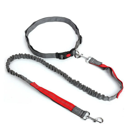 Durable elastic dog leash for running and walking