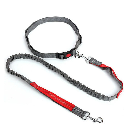 Strapazier fähige elastische Hundeleine zum Laufen und Gehen