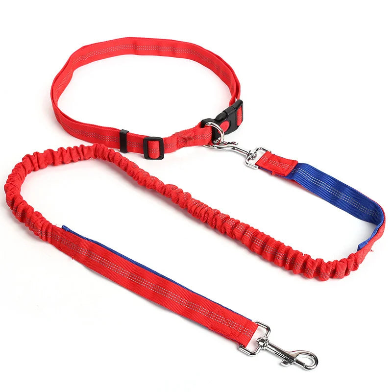 Durable elastic dog leash for running and walking