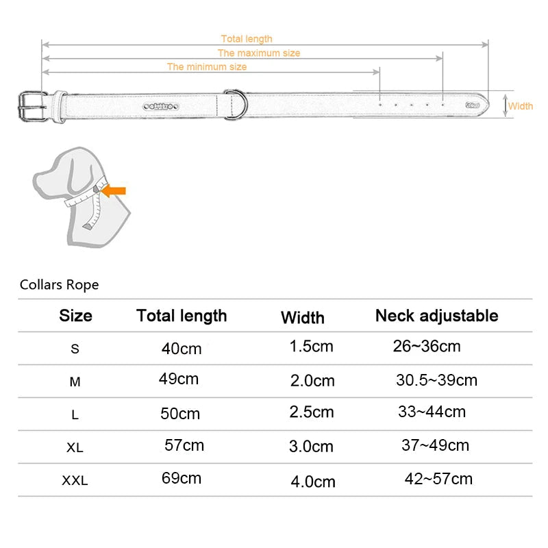 Solid dog collar for all sizes