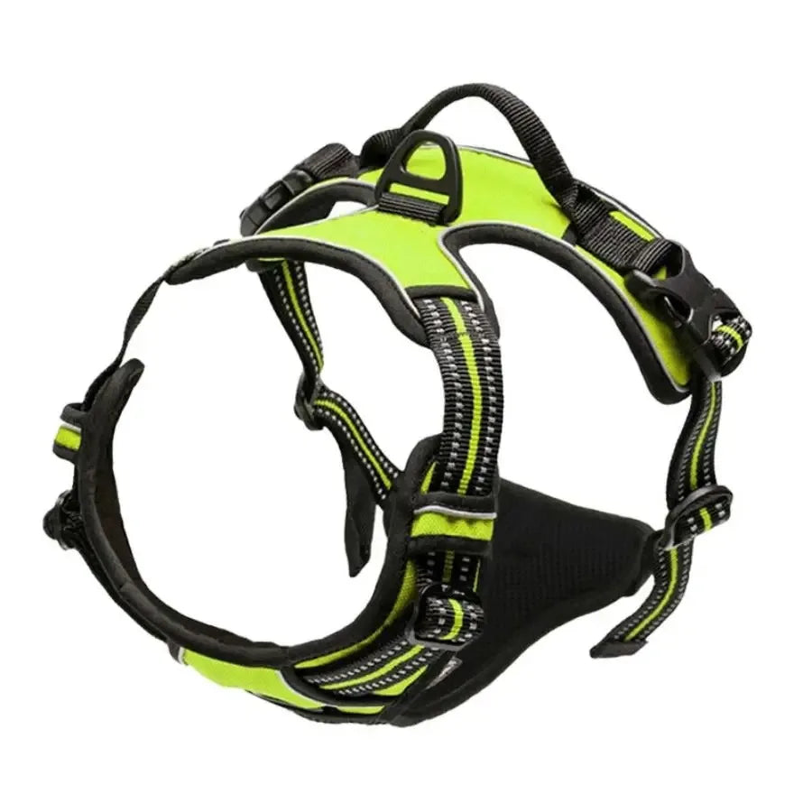 Hundegeschirr aus Leder