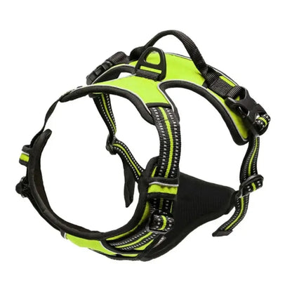 Hundegeschirr aus Leder