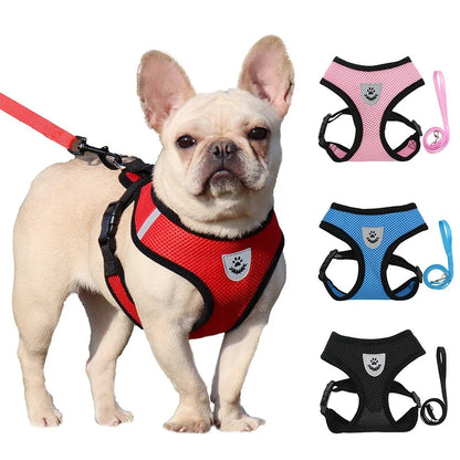 Hundegeschirr mit Leine - verstellbare Weste - für kleine Hunde perfekt geeignet