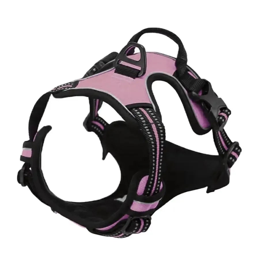 Hundegeschirr aus Leder
