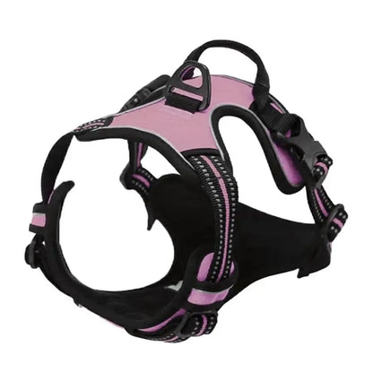 Hundegeschirr aus Leder