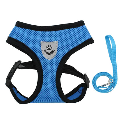 Hundegeschirr mit Leine - verstellbare Weste - für kleine Hunde perfekt geeignet