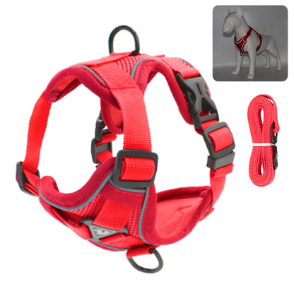 Fashionable reflective cat harness and leash sets