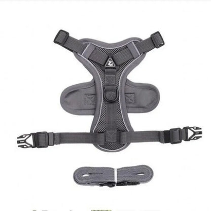 Fashionable reflective cat harness and leash sets