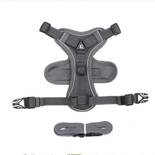 Fashionable reflective cat harness and leash sets