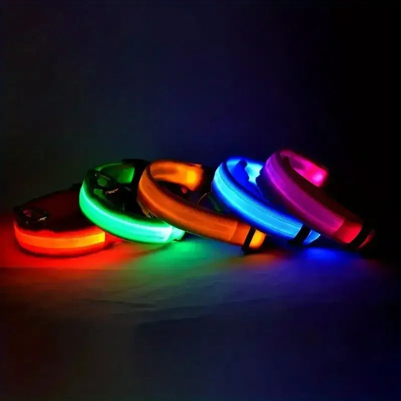 Luminous LED dog collar