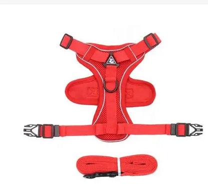 Fashionable reflective cat harness and leash sets
