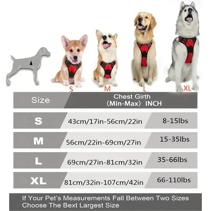 Hundegeschirr aus Leder