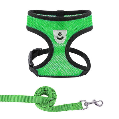 Hundegeschirr mit Leine - verstellbare Weste - für kleine Hunde perfekt geeignet