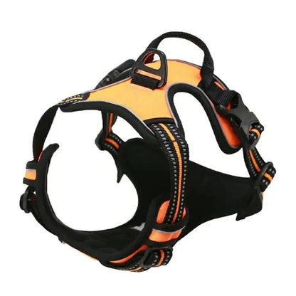 Hundegeschirr aus Leder