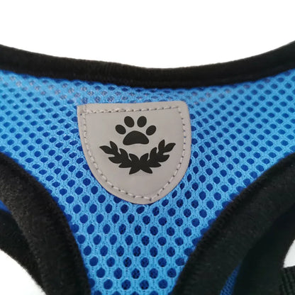 Hundegeschirr mit Leine - verstellbare Weste - für kleine Hunde perfekt geeignet