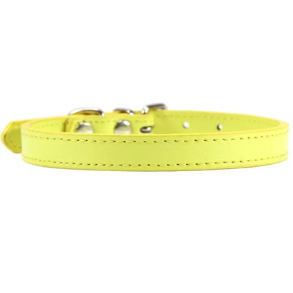Bunte Leder Halsband für Katzen