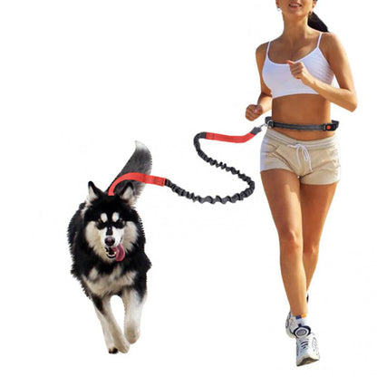 Durable elastic dog leash for running and walking