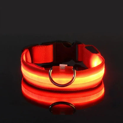 Luminous LED dog collar