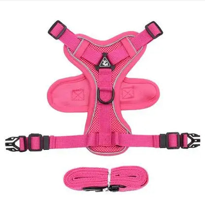 Fashionable reflective cat harness and leash sets