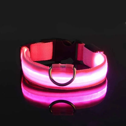 Luminous LED dog collar