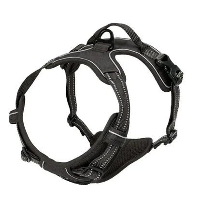 Hundegeschirr aus Leder