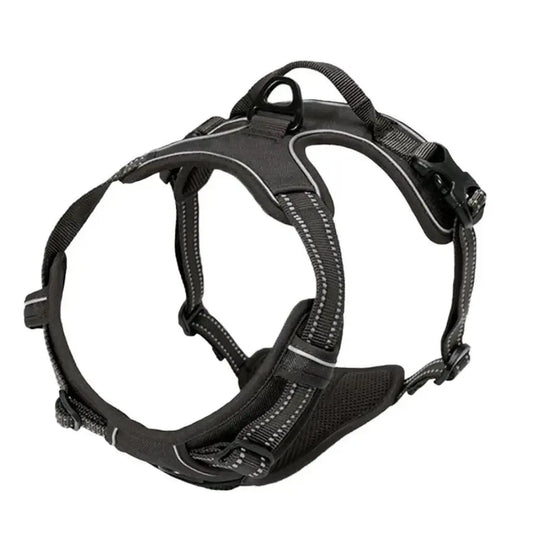 Hundegeschirr aus Leder